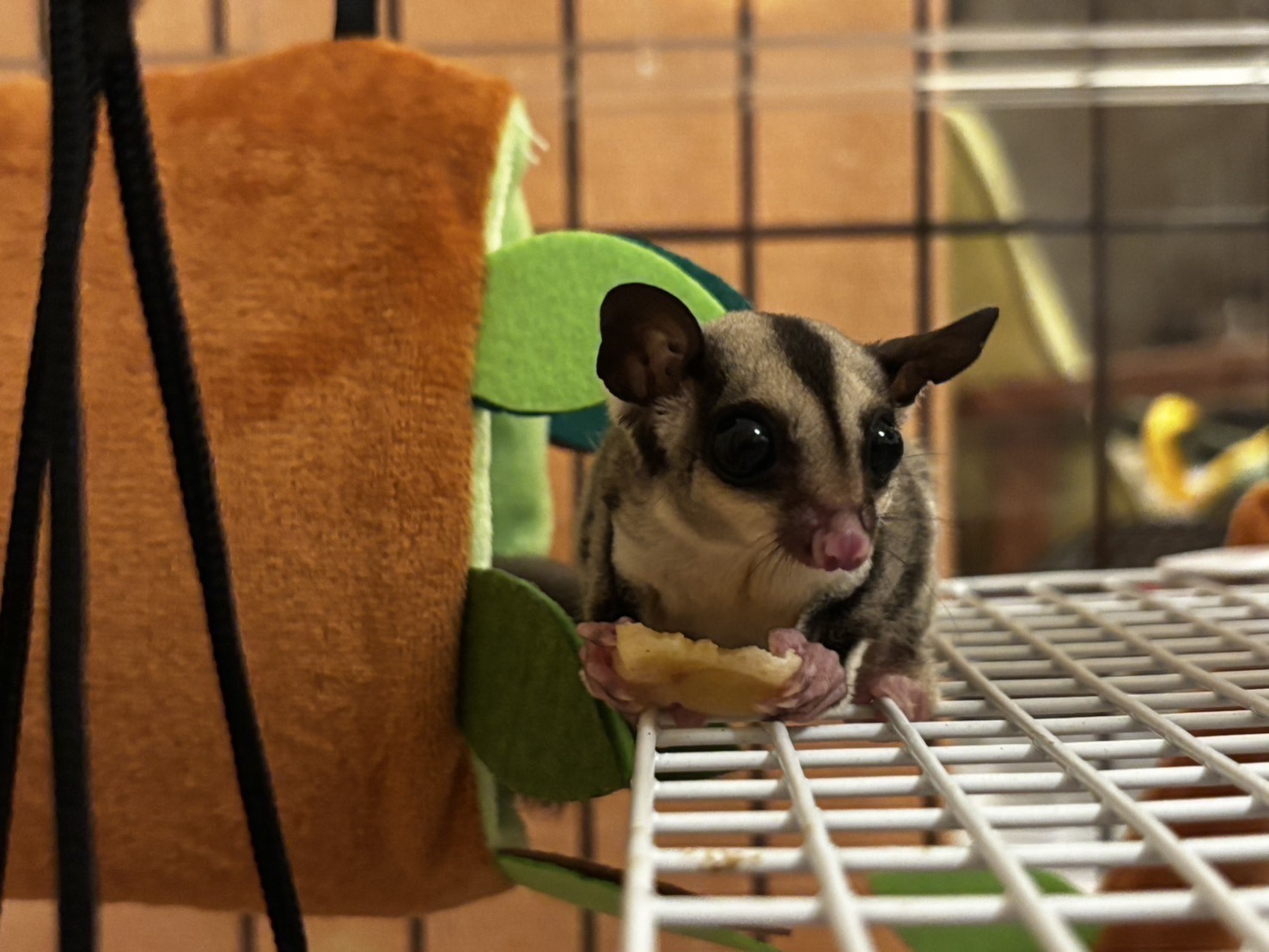 お食事イメージ